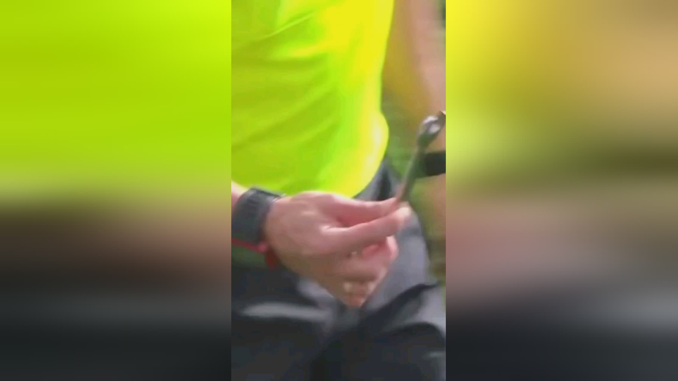 的比赛提供